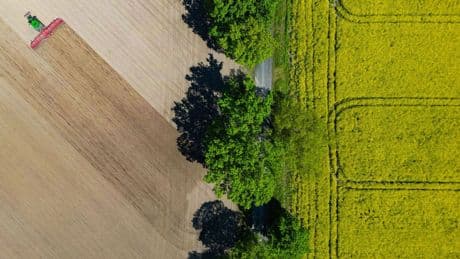 Landwirtschaft: Brandenburger Landpartie: Besucher können Bauernhöfe erleben