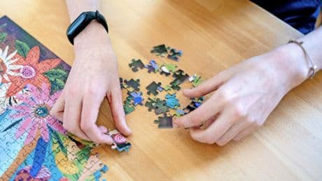 Puzzle-Champion: 500 Teile in unter einer Stunde