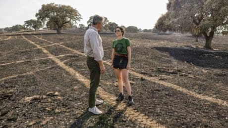 Ayuso visita Tres Cantos tras el incendio y llama a la unidad institucional para la recuperación