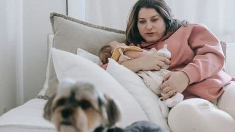 ¿Por qué a veces sentimos rechazo hacia nuestro perro cuando tenemos un bebé?