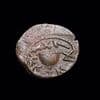 Mysterious coin linked to Jesus' biblical prophecy discovered