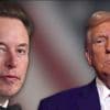 États-Unis : un divorce acté entre Donald Trump et Elon Musk ?