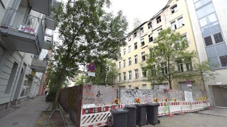 Vogelschutz geht vor - Spatzen verhindern Abriss von Berliner Ruine