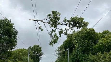 Power back on for most homes hit by Storm Floris blackout in reconnection drive