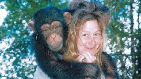 Pet chimp rips off woman's face and eats her eyes in horror attack