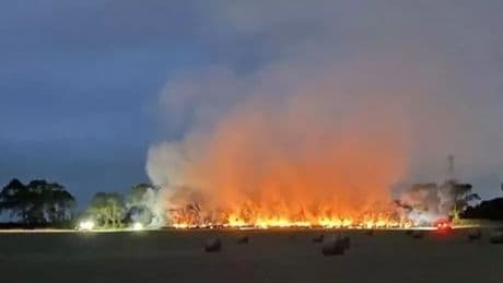 Firefighters remain at Scots field inferno 16 hours later as smoke seen for miles