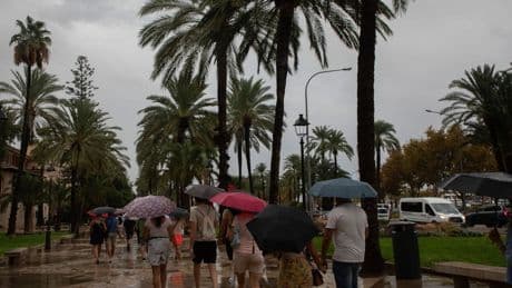 Sturm und Regen sorgen für Chaos auf Mallorca