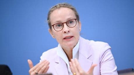 Frauke Brosius-Gersdorf: Uni Hamburg will Hinweise zu Doktorarbeit von Brosius-Gersdorf prüfen