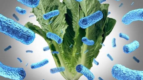 Anyone who buys supermarket salad in UK given urgent health alert