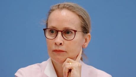 Embryonen, Ethik und Empörung