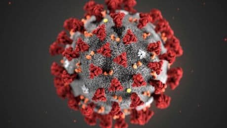 Variante Stratus, raucedine fra i sintomi della nuova mutazione del Covid. «Circolerà in estate, vaccini da aggiornare»