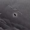 UFO whistleblower reveals the FOUR types of aliens the US government knows about