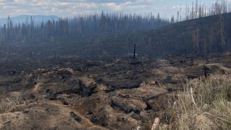 Planned burn during 2023 Shuswap wildfires could have turned deadly: report