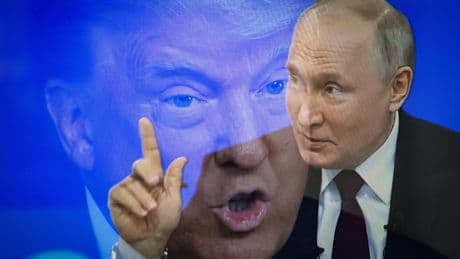 Sieg über Nazi-Deutschland: Putin und Trump gratulieren sich zum Weltkriegssieg – und streiten