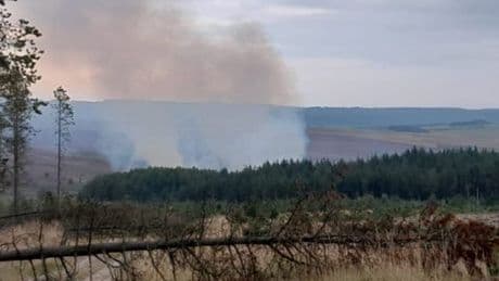 Major incident declared as firefighters battle large blaze in North York Moors Park