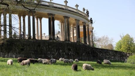Brandenburg Friede den Palästen