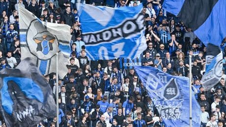 Nach Glawogger-Entlassung - Mannheim holt Nationaltrainer