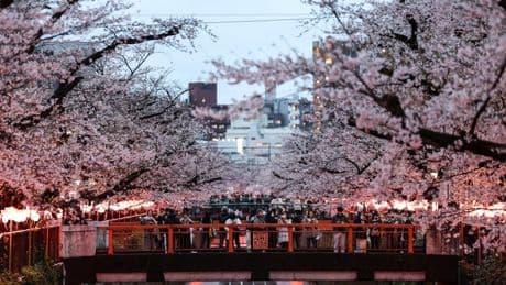 El turismo que enfada a Japón
