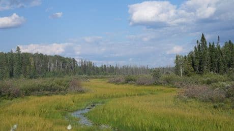 Ontario to amend mining bill, add Indigenous economic zones amid First Nations uproar