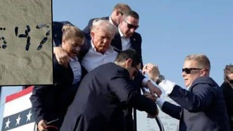 FBI Direktörüne 'Trump' sorgusu! Deniz kabukları fotoğrafı şifre mi?