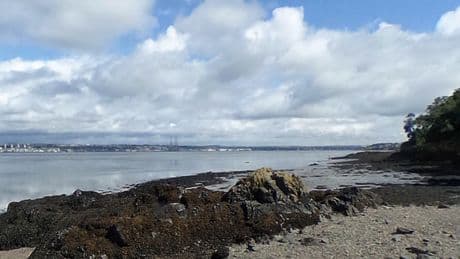Woman's body found on Fife beach as police lock down beauty spot