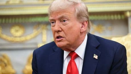 Trump saisit la Cour suprême pour tenter de sauver ses droits de douane jugés illégaux