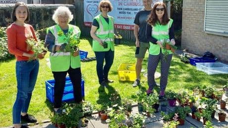 Volunteers wanted to grow Cambuslang in Bloom project