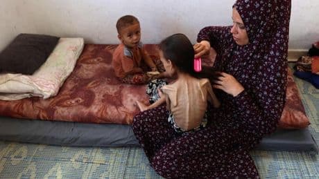 Las imágenes del hambre en Gaza aceleran el reconocimiento internacional de Palestina