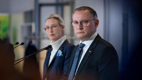 Kurswechsel: Interne Aufräumaktion – das steckt hinter der neuen Russland-Strategie der AfD