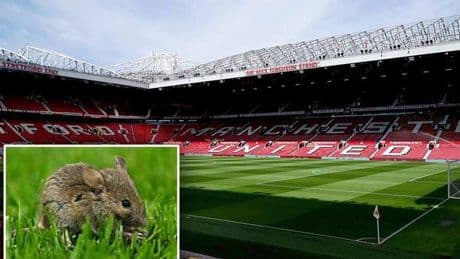 Man Utd hit with new Old Trafford humiliation as MOUSE DROPPINGS found in health review