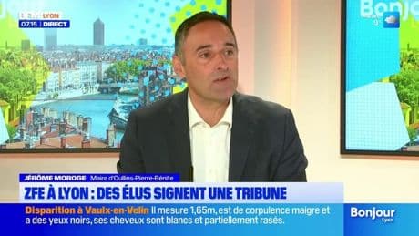 ZFE à Lyon: une soixantaine d'élus signent une tribune avant le retour du projet de loi au parlement