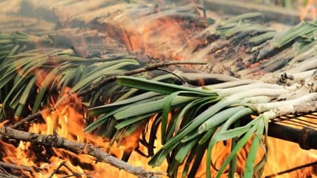 La cocina catalana conquista Tokio con calçots, sardinas y bombas de la Barceloneta
