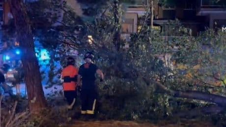 Herido grave un joven tras caerle encima la rama de un árbol en una plaza de Carabanchel (Madrid)