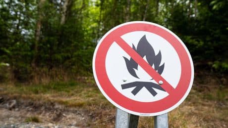 Wetter: Trockenes Wetter, Sonne und Waldbrandgefahr zum Wochenende