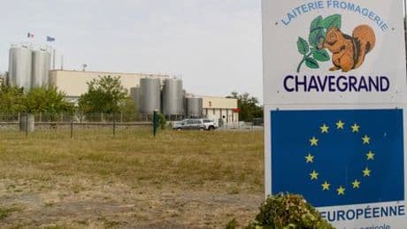 Frankreich – Listeriose: Offenbar erneut Fälle durch verseuchten Käse