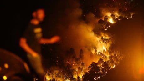 La Fiscalía investiga si los municipios más afectados por los incendios cuentan con planes de prevención