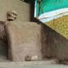 Ancient Indian skeleton gets a museum home six years after excavation