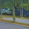 Verdachte (22) van moord op Lisa en zedendelicten vermoedelijk afkomstig uit Nigeria