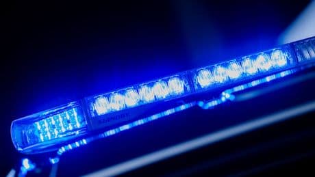 Auto kracht gegen Bäume – vier Menschen sterben