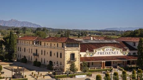 Freixenet anuncia un ERE para despedir hasta 180 empleados, el 24% de la plantilla