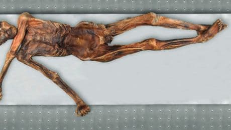 Ötzi, l’homme des glaces : quand la science révèle les secrets d’un « cold case » vieux de 5 300 ans