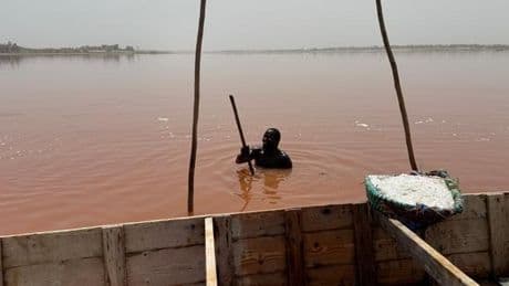 Au Sénégal, le lac Rose reprend des couleurs, son activité économique aussi