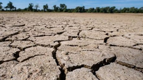 Anpassung nötig: Klimawandel zwingt immer mehr Menschen zur Flucht
