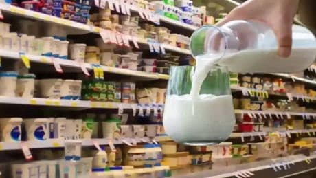 Pınar, Sütaş, Danone, Yörsan gibi peynir ve süt devleri tüketiciyi kandırıyor mu? Soruşturma başlatıldı
