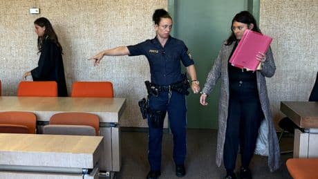 Strafverteidiger erklärt Drogenschmuggel - „40 Kilo Marihuana sind heute nicht mehr viel“