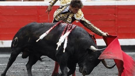 Bildu urge a abrir el debate sobre los toros en fiestas pero «respetando los ritmos en cada lugar»