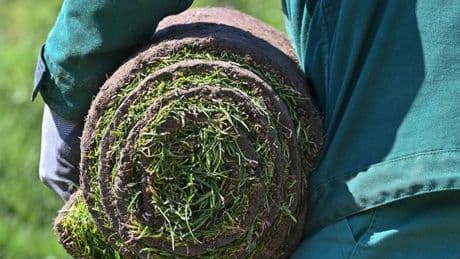 Gartenbau: Jobs in Gartenbaubranche sehr beliebt