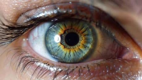 Medicina, in Abruzzo prima terapia genica per la maculopatia