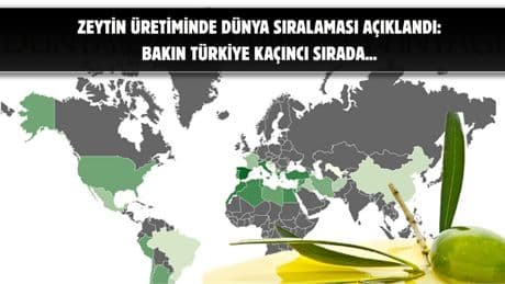 Sofralardan eksik olmuyor, en çok üretimi o ülkeler yapıyor! Türkiye’de listede var: Bakın zeytin üretiminde kaçıncı sıradayız