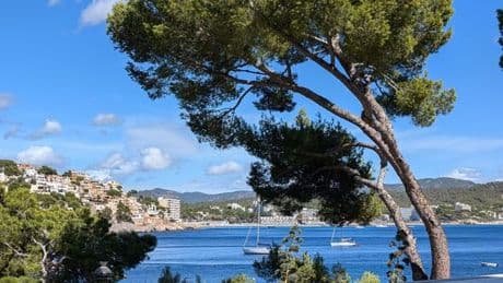 The Majorca seaside town 17 miles from Palma where tourists are flocking